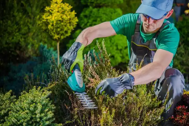 landscaping services Wellston